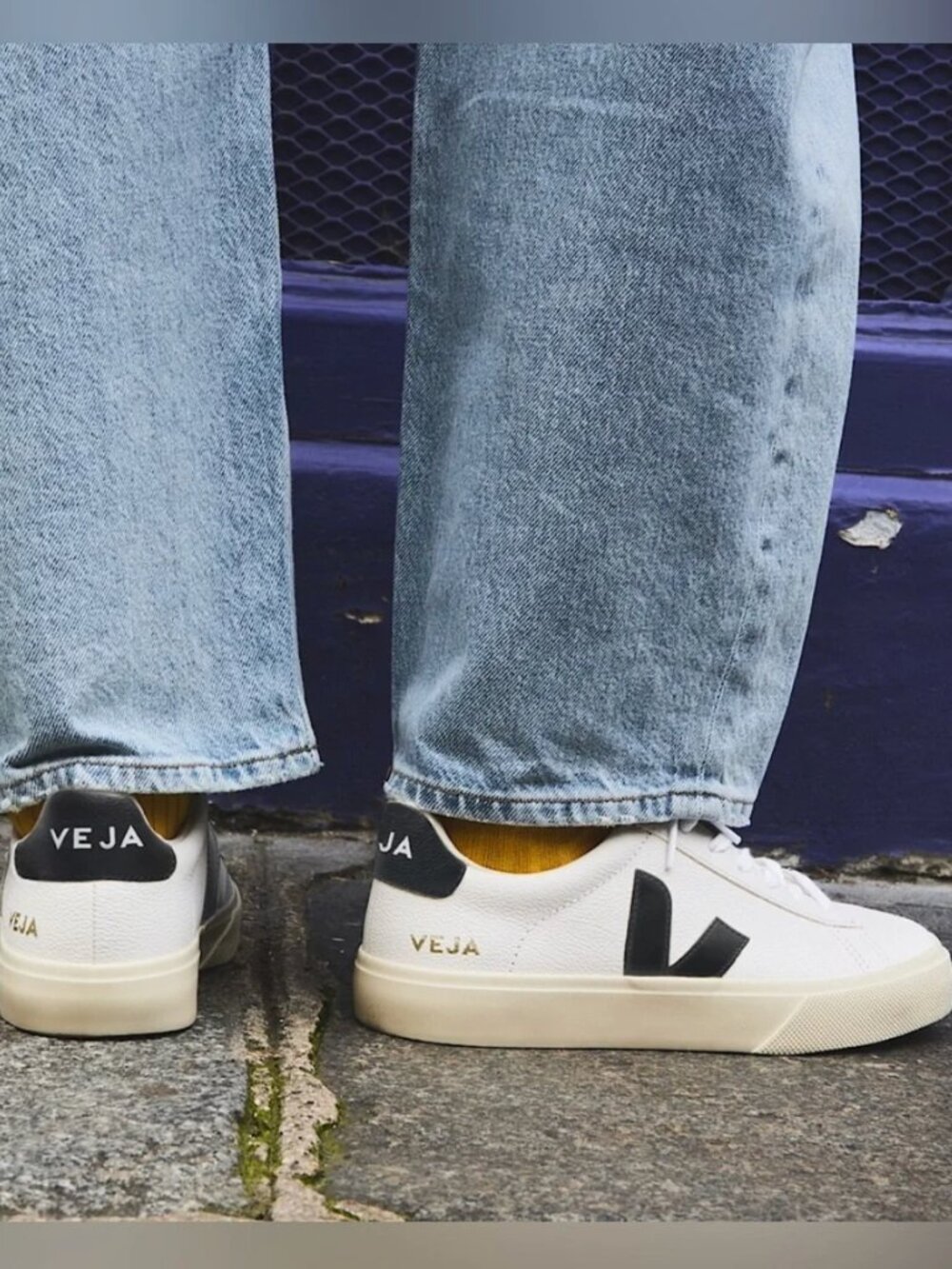 Veja White Sneakers with Black V Logo